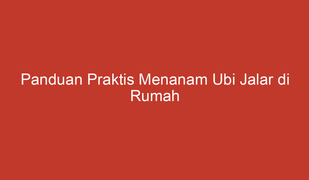 Panduan Praktis Menanam Ubi Jalar di Rumah