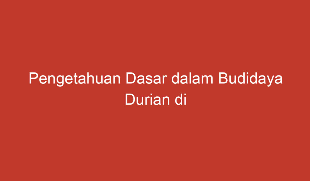 Pengetahuan Dasar dalam Budidaya Durian di Indonesia