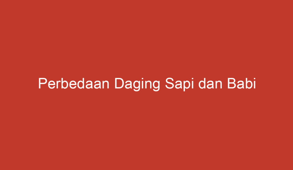 Perbedaan Daging Sapi dan Babi