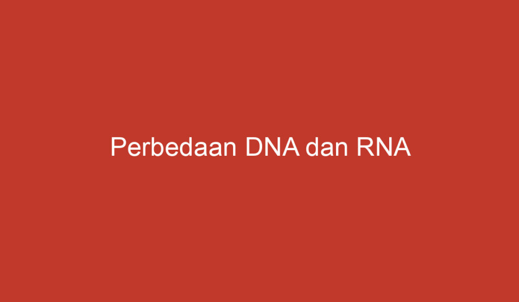 Perbedaan DNA dan RNA