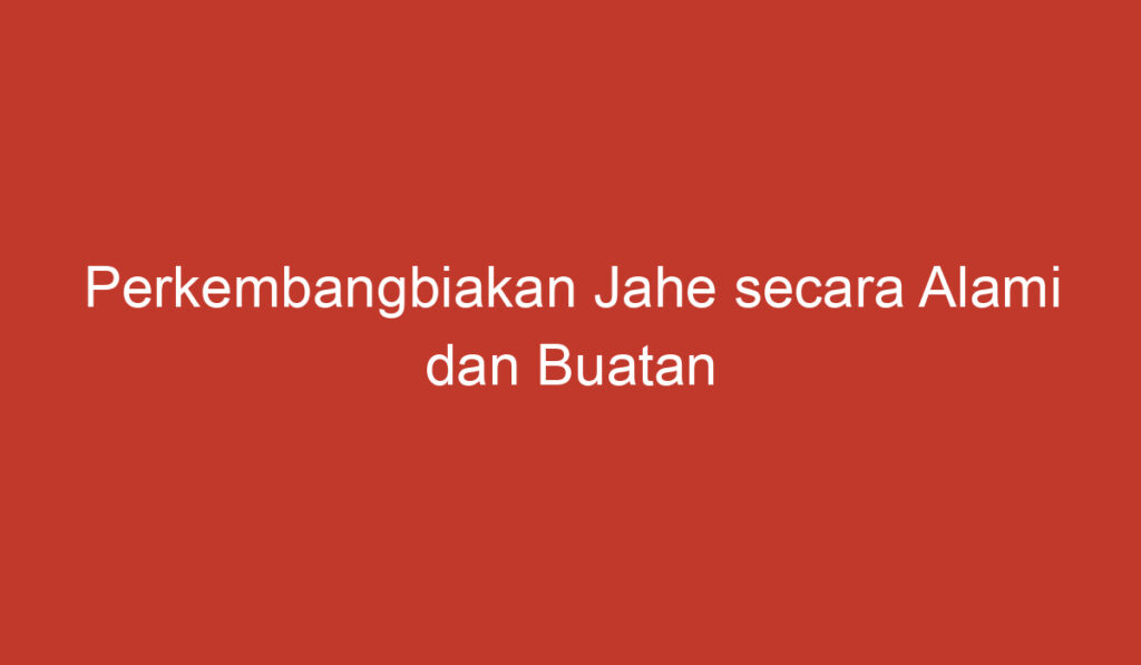 Perkembangbiakan Jahe secara Alami dan Buatan