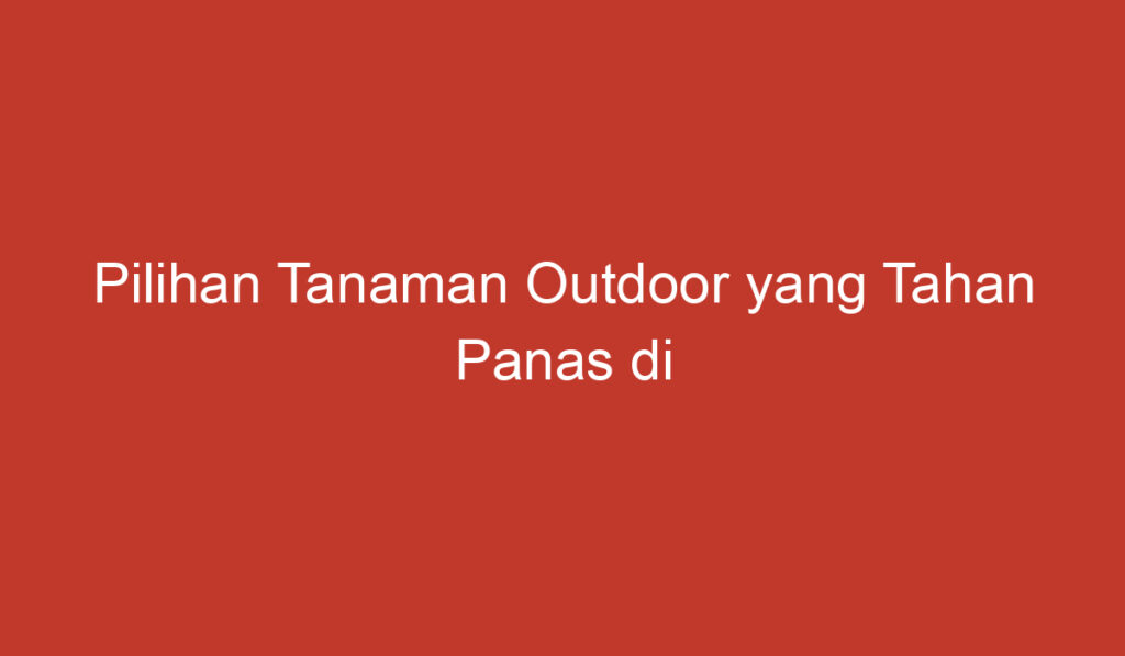 Pilihan Tanaman Outdoor yang Tahan Panas di Indonesia