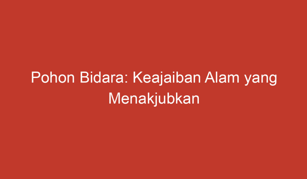 Pohon Bidara: Keajaiban Alam yang Menakjubkan