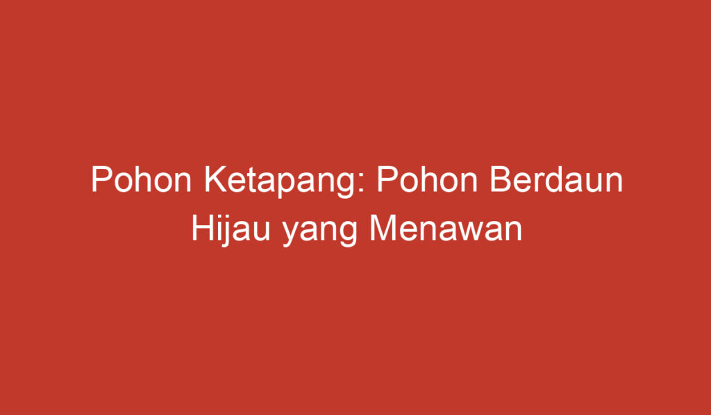 Pohon Ketapang: Pohon Berdaun Hijau yang Menawan