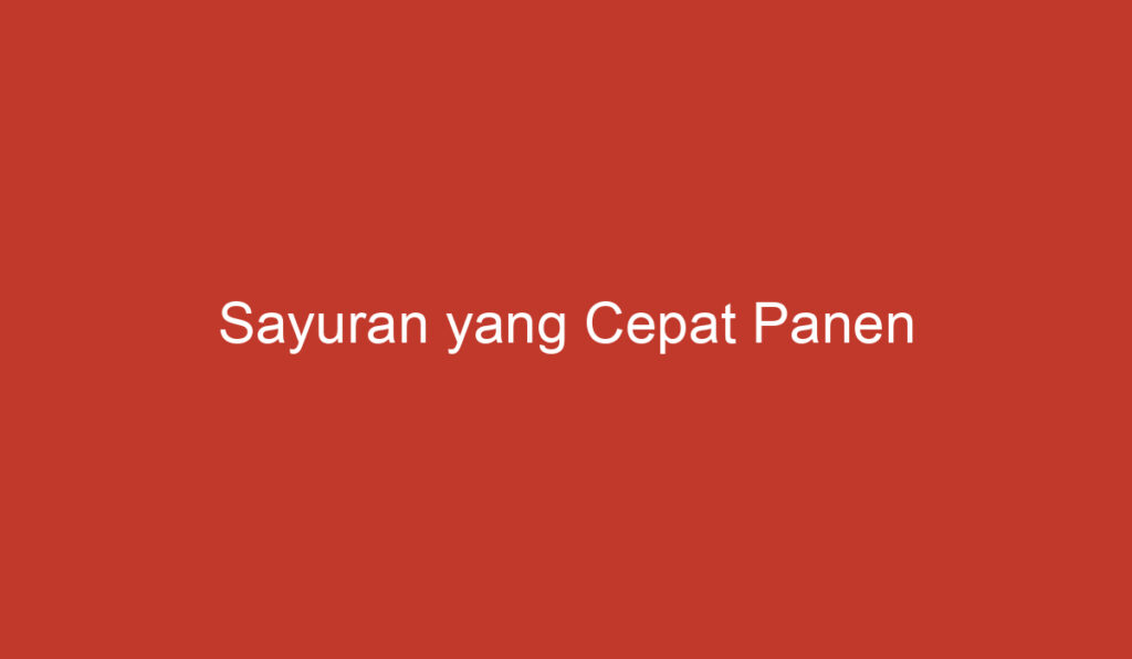 Sayuran yang Cepat Panen