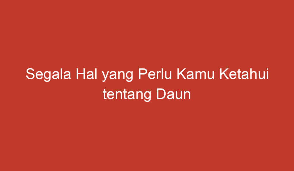 Segala Hal yang Perlu Kamu Ketahui tentang Daun Jati Muda