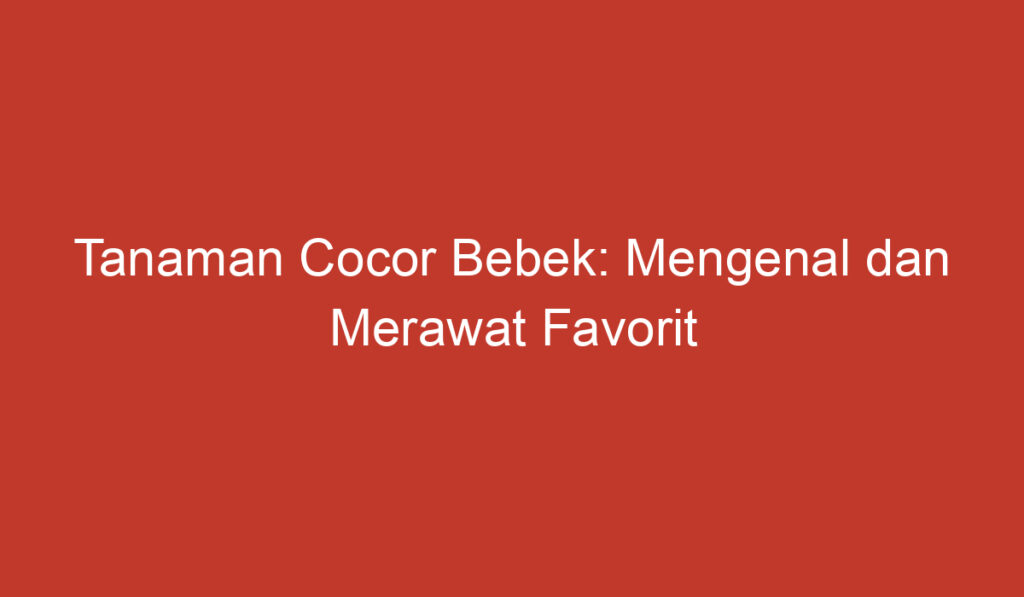 Tanaman Cocor Bebek: Mengenal dan Merawat Favorit Tanaman Hias