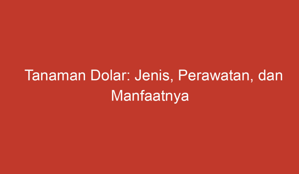 Tanaman Dolar: Jenis, Perawatan, dan Manfaatnya