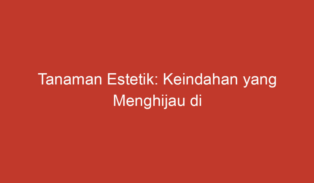 Tanaman Estetik: Keindahan yang Menghijau di Lingkungan Kita