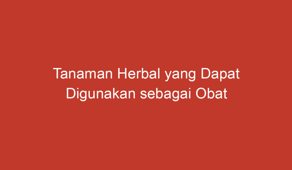 Tanaman Herbal yang Dapat Digunakan sebagai Obat