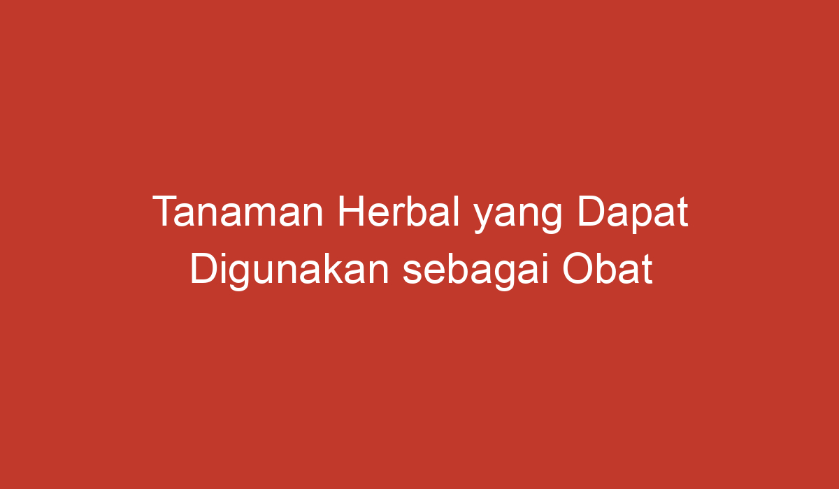 Tanaman Herbal yang Dapat Digunakan sebagai Obat