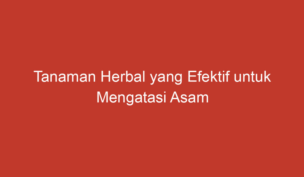 Tanaman Herbal yang Efektif untuk Mengatasi Asam Lambung