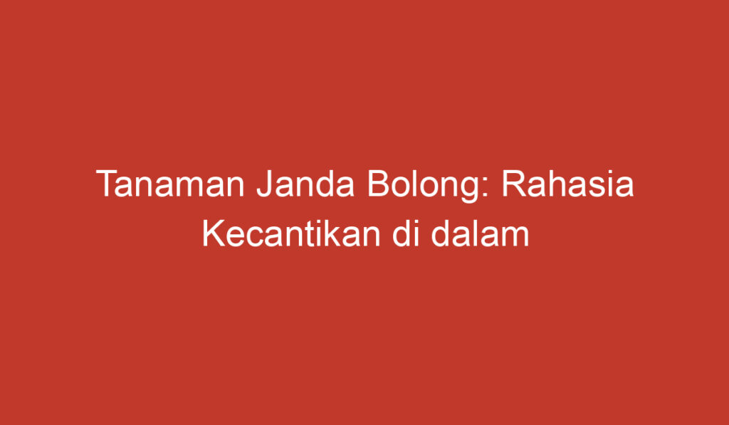 Tanaman Janda Bolong: Rahasia Kecantikan di dalam Pot