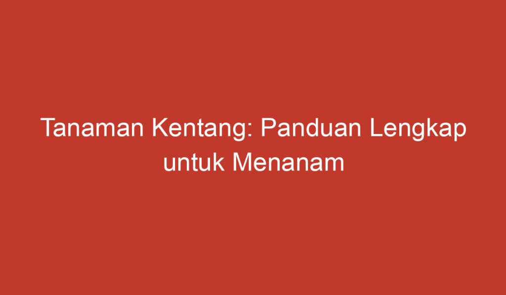 Tanaman Kentang: Panduan Lengkap untuk Menanam dan Merawatnya