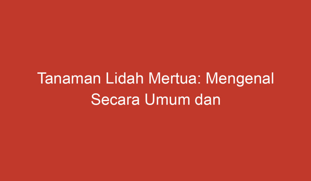 Tanaman Lidah Mertua: Mengenal Secara Umum dan Manfaatnya yang Menakjubkan