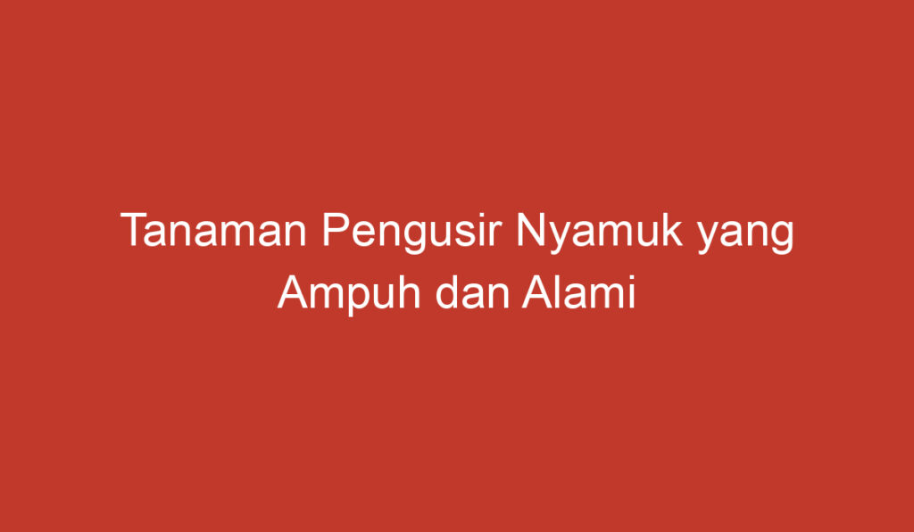 Tanaman Pengusir Nyamuk yang Ampuh dan Alami