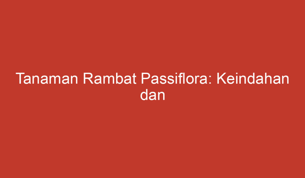 Tanaman Rambat Passiflora: Keindahan dan Manfaatnya