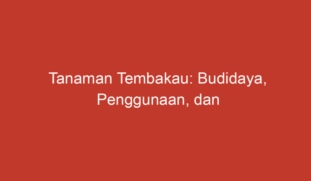 Tanaman Tembakau: Budidaya, Penggunaan, dan Dampaknya