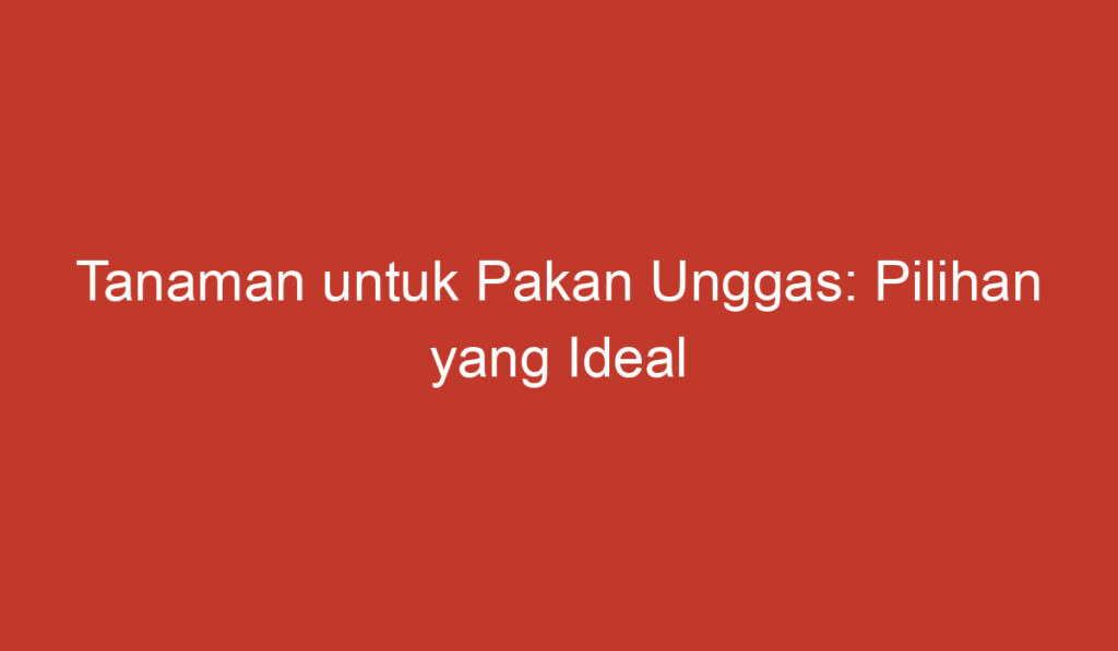 Tanaman untuk Pakan Unggas: Pilihan yang Ideal untuk Kesehatan dan Produktivitasnya