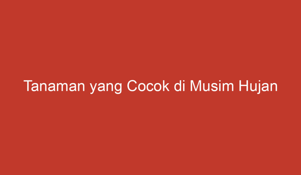 Tanaman yang Cocok di Musim Hujan