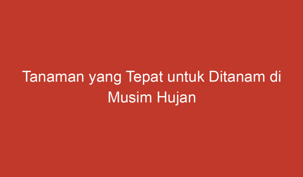 Tanaman yang Tepat untuk Ditanam di Musim Hujan