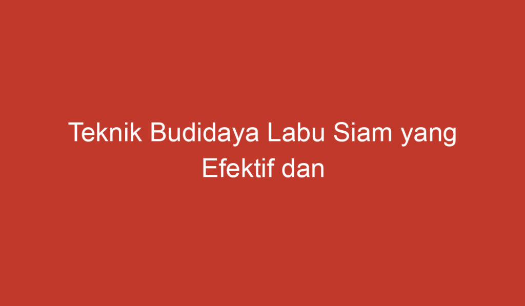 Teknik Budidaya Labu Siam yang Efektif dan Berhasil