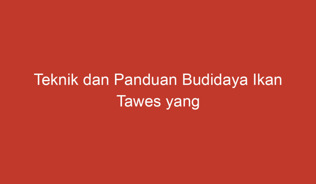 Teknik dan Panduan Budidaya Ikan Tawes yang Efektif