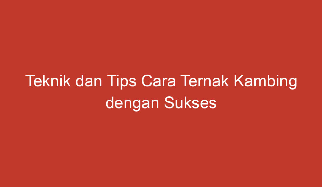 Teknik dan Tips Cara Ternak Kambing dengan Sukses