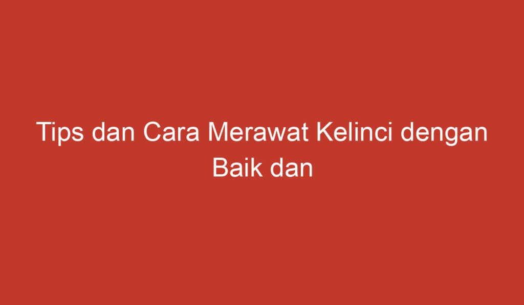 Tips dan Cara Merawat Kelinci dengan Baik dan Benar