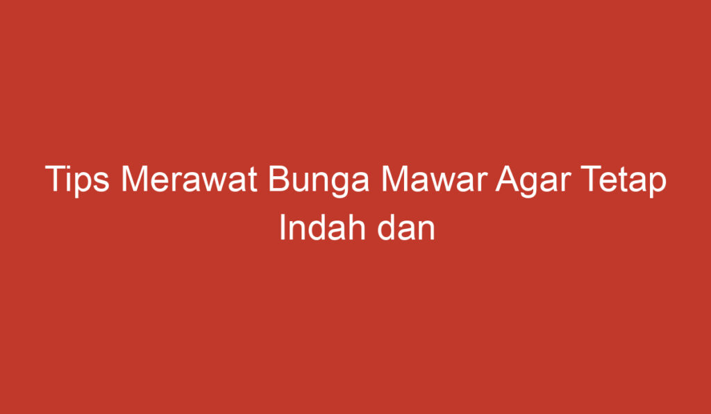 Tips Merawat Bunga Mawar Agar Tetap Indah dan Sehat