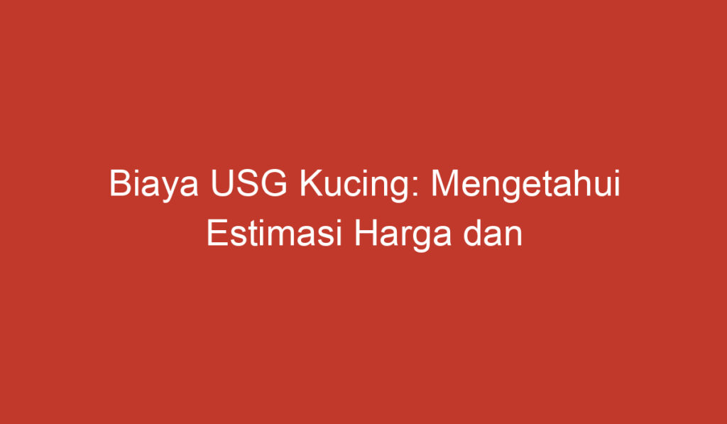 Biaya USG Kucing: Mengetahui Estimasi Harga dan Pentingnya Pemeriksaan USG untuk Kucing Anda