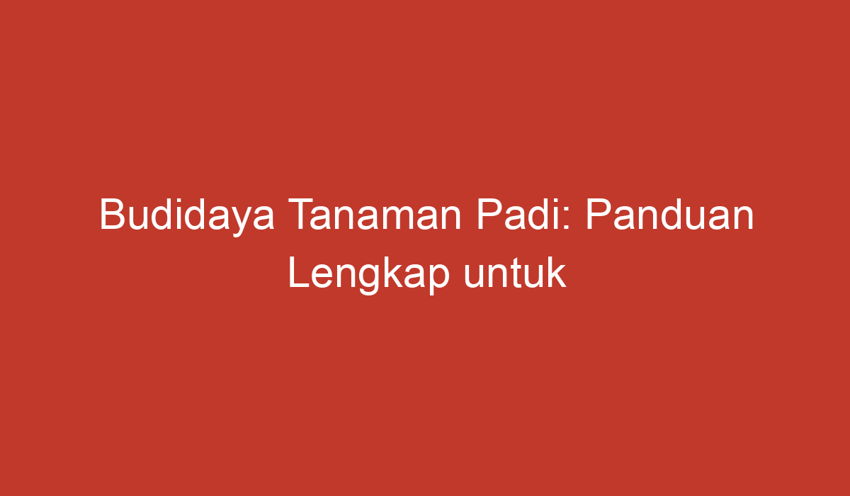 Budidaya Tanaman Padi: Panduan Lengkap Untuk Petani Pemula