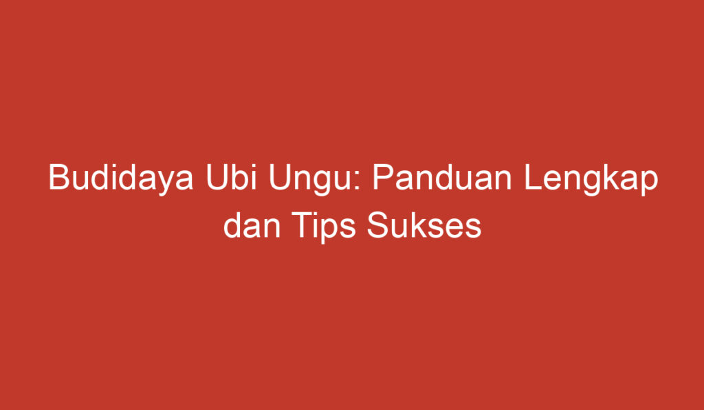 Budidaya Ubi Ungu: Panduan Lengkap dan Tips Sukses