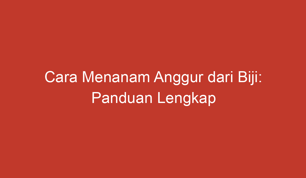 Cara Menanam Anggur Dari Biji Panduan Lengkap Untuk Pemula 4688