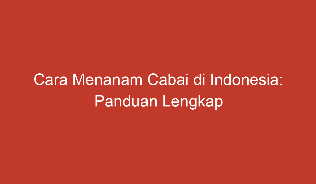 Cara Menanam Cabai Di Indonesia Panduan Lengkap Mulai Dari Pemilihan Bibit Hingga Pemanenan