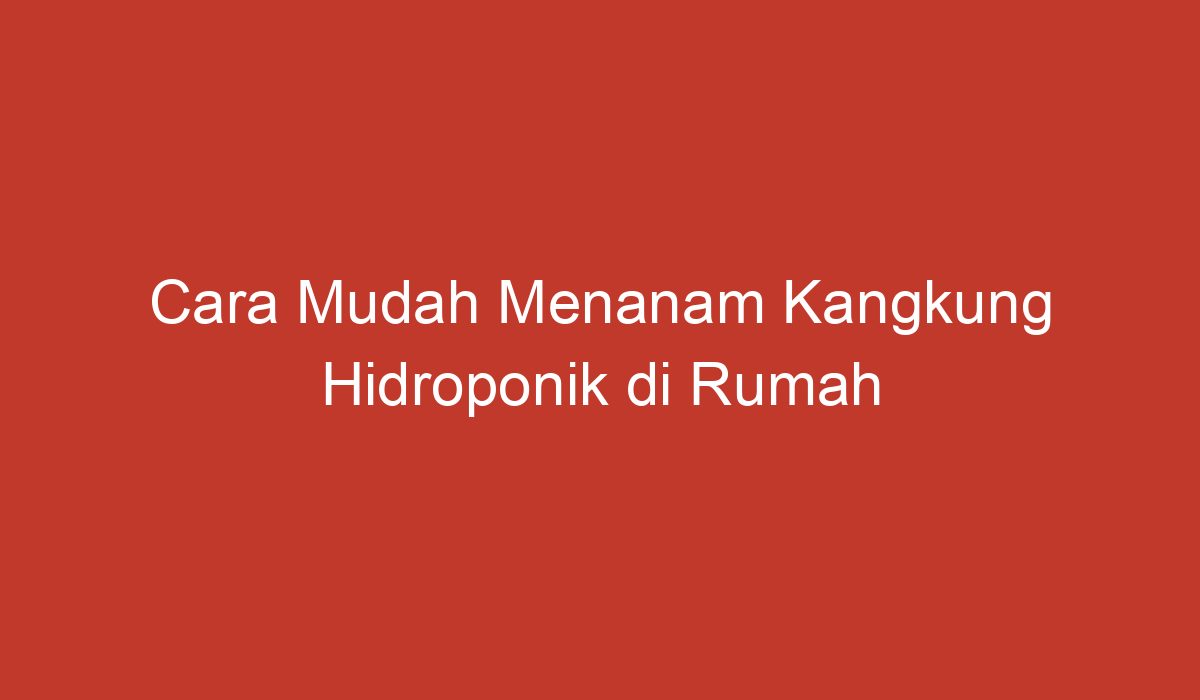 Cara Mudah Menanam Kangkung Hidroponik Di Rumah