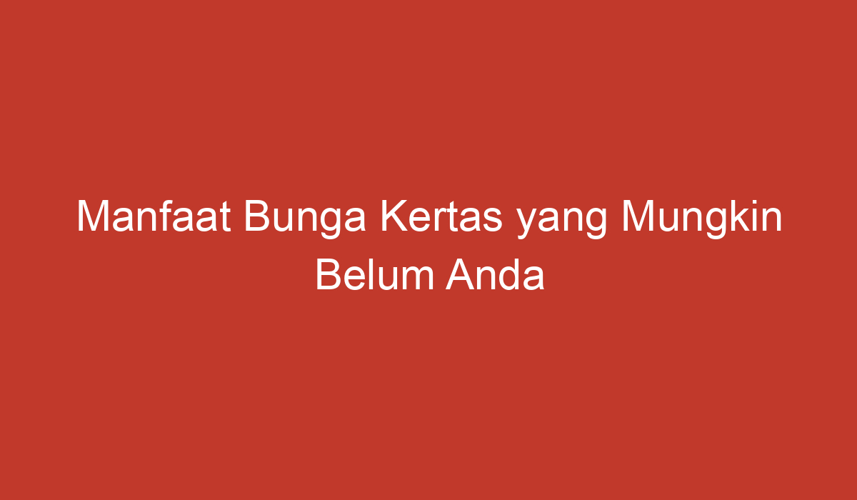 Manfaat Bunga Kertas Yang Mungkin Belum Anda Ketahui