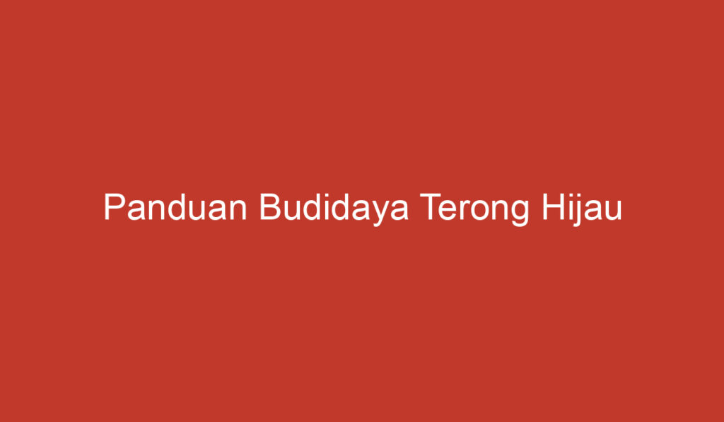 Panduan Budidaya Terong Hijau