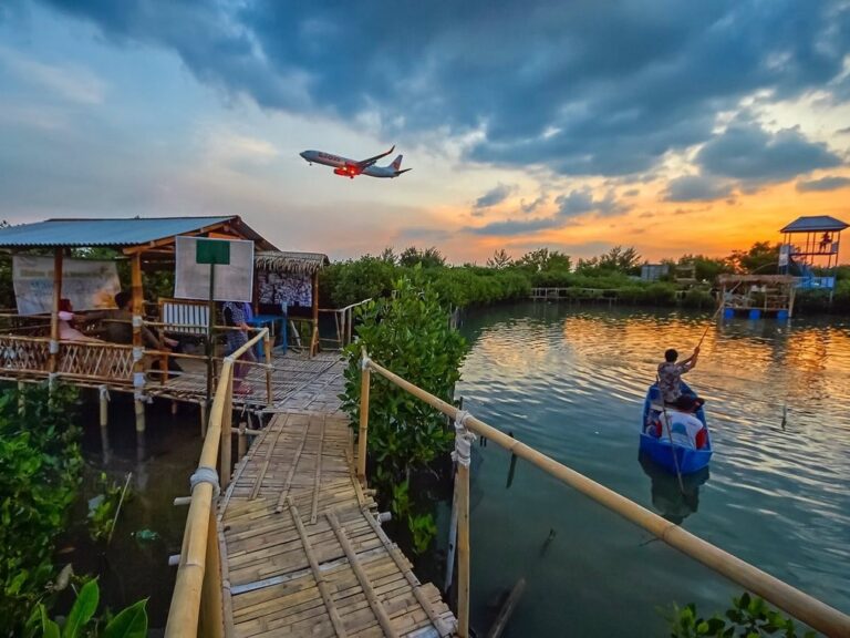 Ekowisata Mangrove