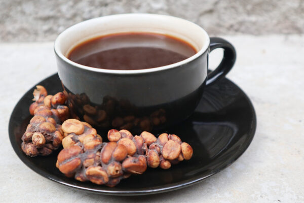 kopi luwak