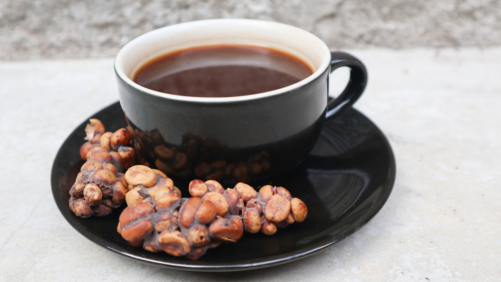 kopi luwak