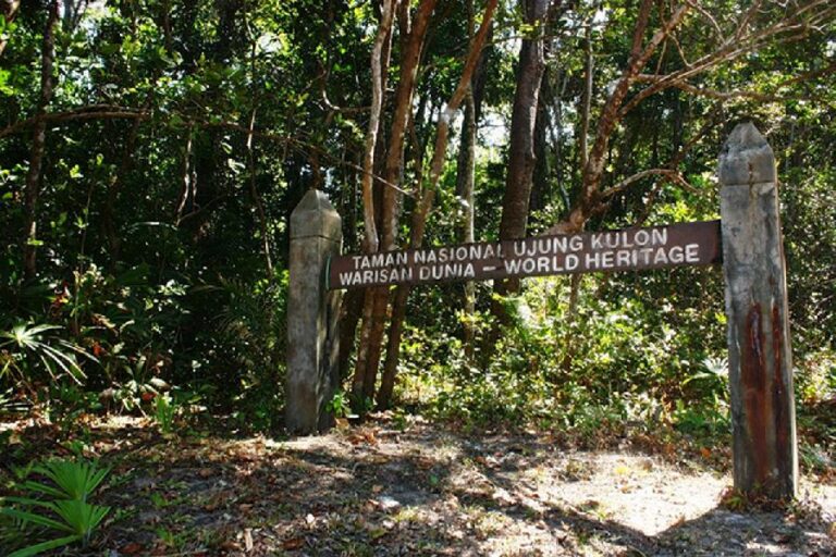 Taman Nasional Ujung Kulon